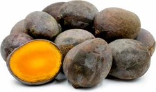 One Black Kosturi mango seed and one Thai purple mango seed