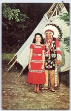 Original Chromocast Postcard Chippewa Wigwam Itasca State Park MN