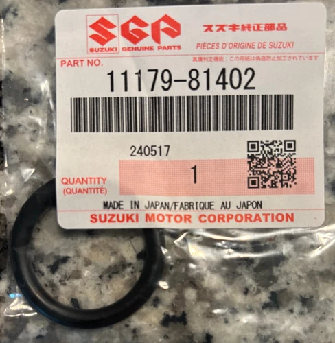 O RING, SPARK PLUG PIPE