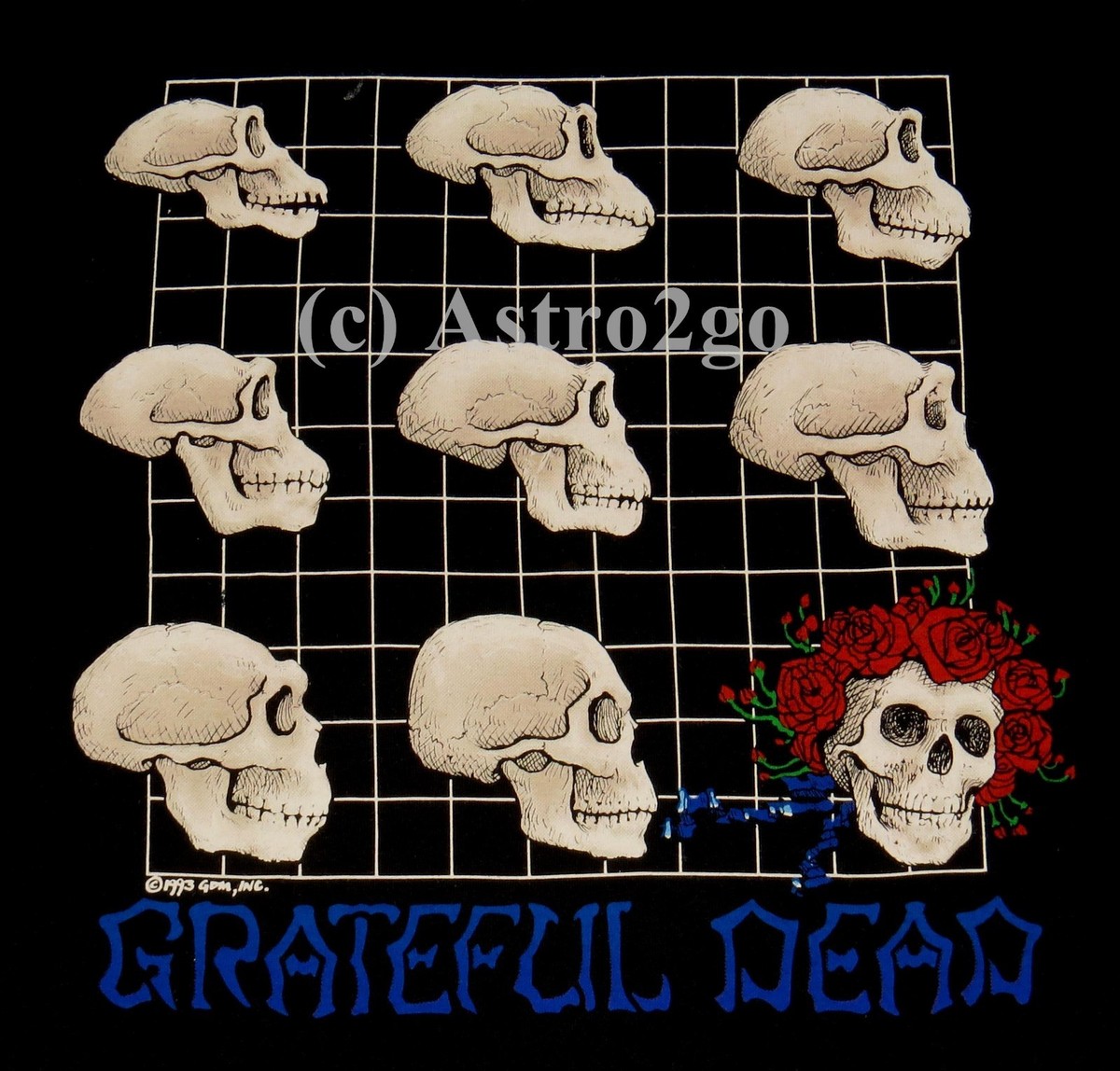 EVOLUTION--Liquid Blue Grateful Dead Strange Trip Skulls Science T