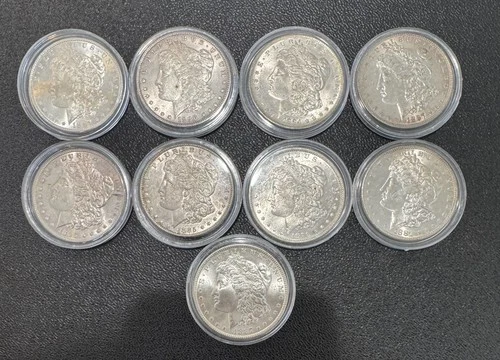 9 MORGAN DOLLARS! GEMBU+++**ALL BU++ NR #64824