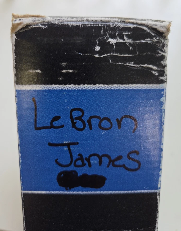 全新 2010 勒布朗·詹姆斯 Real Big Fathead 克利夫兰骑士队 真人尺寸 墙壁固定 — 第 3/4 张图片