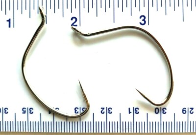 Carne E Pesce Senza Nichel: Una Guida Per Chi Soffre Di Allergie - Foto 7