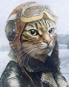 Aviator Cat  Pilot Flying Airplane  Plane  Fly Punk Cool 