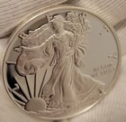 2015‑W American Silver Eagle Proof • 1 oz .999 Fine Silver (No Box/COA)