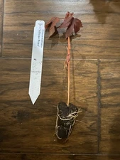 Cranberry Hibiscus (H. acetosella) - 1 TC Plant/Plug –4-6 inches-Edible Flower!