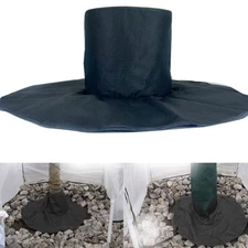 Survival for Your For palm Trees Effective Root for PROTECTION