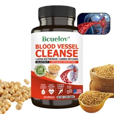 Blood vessel cleanse - Healthy heart, blood vessels and arterial circulation