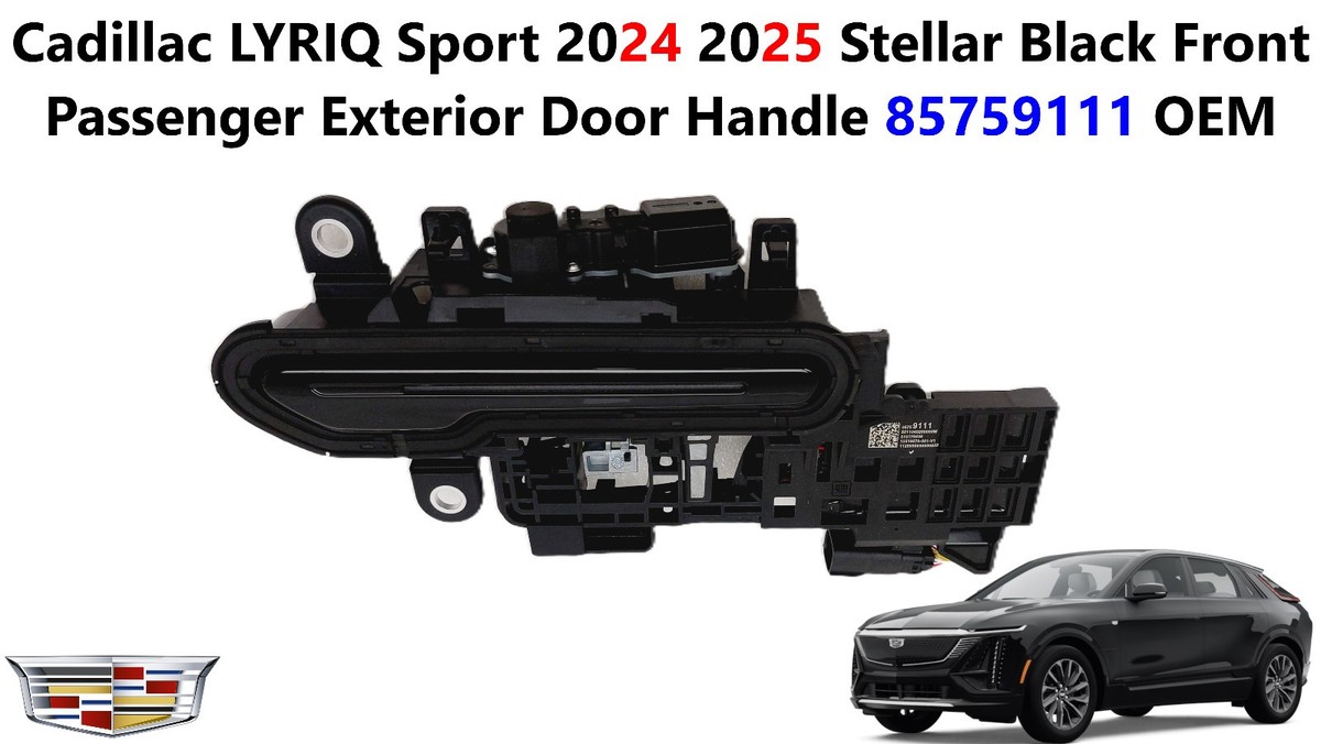 Cadillac LYRIQ 24 25 Stellar Black Front Passenger Exterior Door