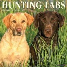 Willow Creek Press Calendars, Hunting Labs 2025 Wall Calendar