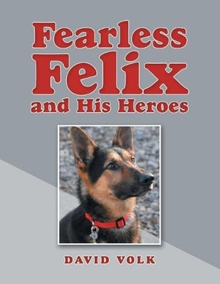 Fearless Felix and His Heroes by David Volk (English) Paperback Book