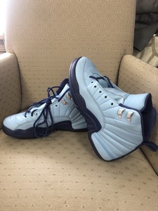 jordan 12 blue and purple
