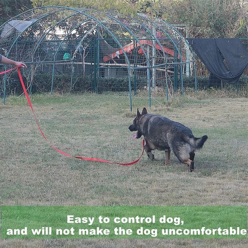 Strong Durable Nylon Dog Training Leash, 1 Inch Wide Traction Rope, 6 ft 10ft... - Picture 6 of 9