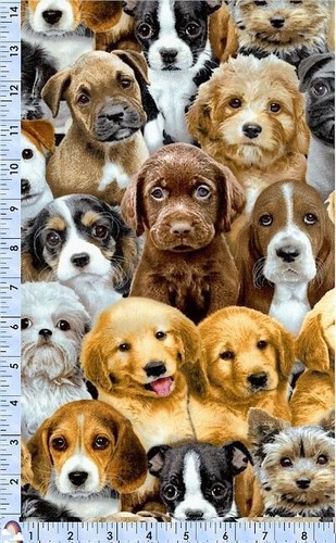 Last Yard (38"L x 45"W) Adorable Pets - Dogs Black Cotton Fabric #3800E - Picture 2 of 3
