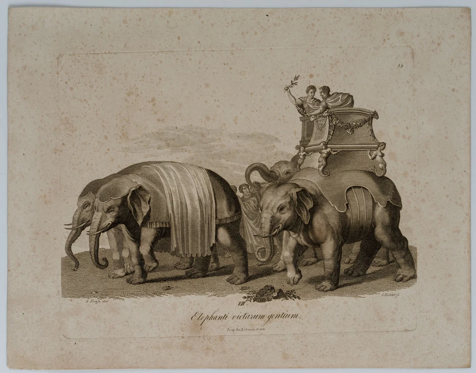 DÖBLER (*1788) nach Unbekannt (19.Jhd), Elephanti victarum gentium,  1819, KSt. - Bild 2 von 4