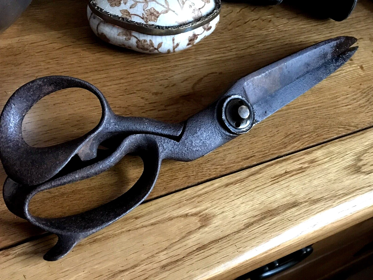 Who best sale invented scissors