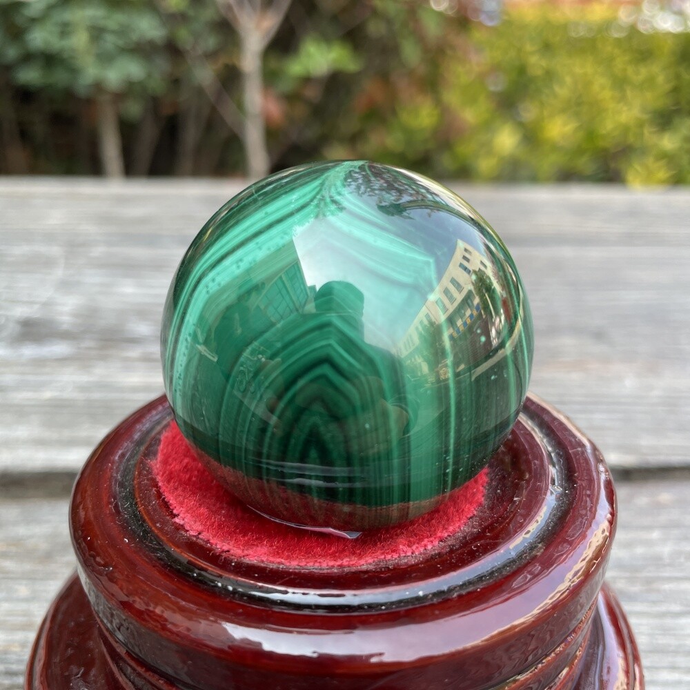 Picture 5 of 10