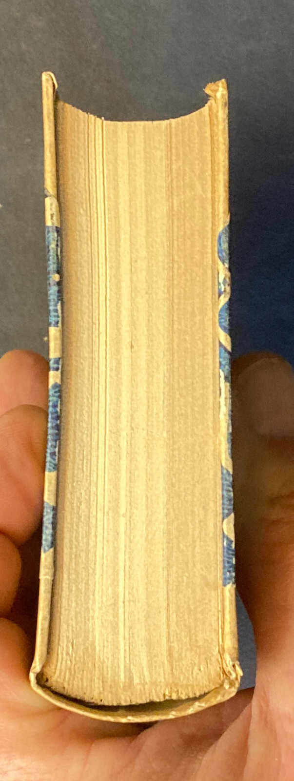 Foto 18 di 19