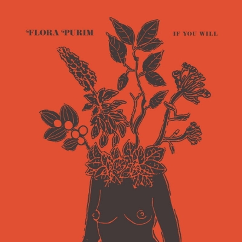 波LP Flora Purim If You Will STRUT271LPC Strut /00260 Flora Purim/If You Will (Clear Vinyl/Vinyl) STRUT271LPC New