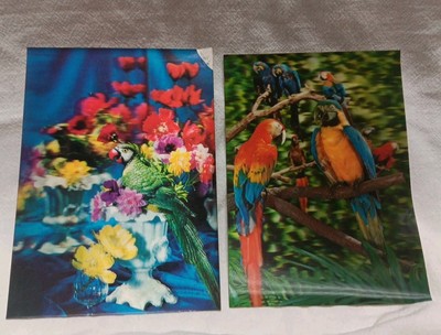 ''Three Dimentional'' Parrots Good - Condition