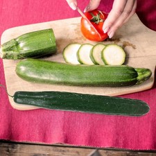 3 Pcs Simulation Cucumber Decorations Plastic Vegetable Fake Food