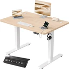 Electric Standing Desk 100x60cm Height Adjustable with USB Charging Beige Home