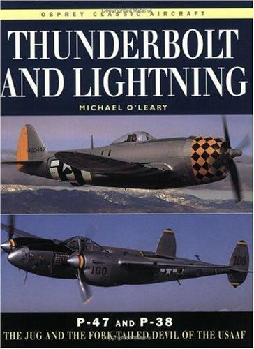 Thunderbolt and Lightning, P-47 and P-38, by Michael O'Leary! MINT & COOL! POW! - Picture 1 of 1