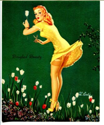 MAG: Pin-up Print-Boughed Beauty-1940's-stocking girl-Al Leslie-5 X 6-VF