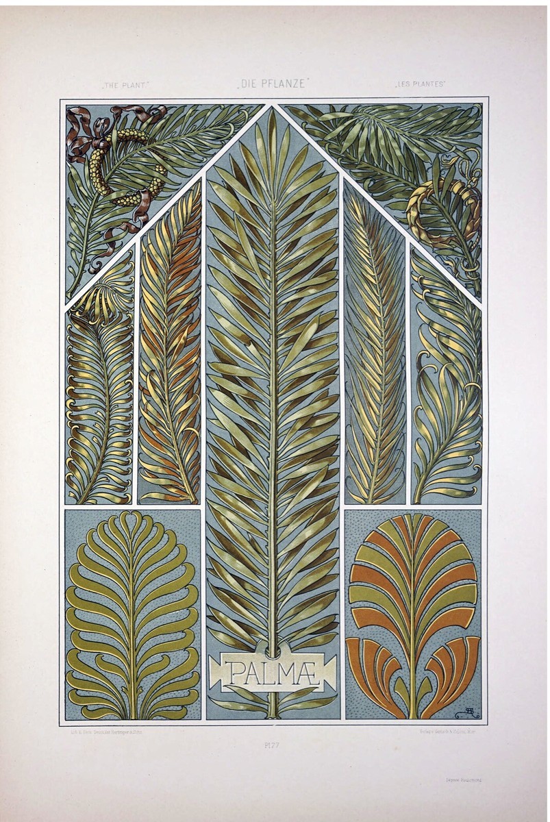 13129.Decor Poster.Wall Room home art vintage design.Plants