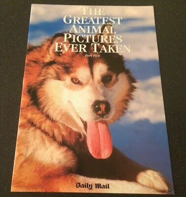 4 THE GREATEST ANIMAL PICTURES EVER TAKEN DAILY MAIL MAGAZINE 