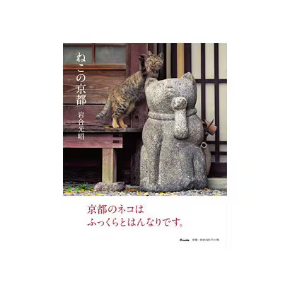 Kyoto Cat [Hardcover] Excellent Japan Used For Ages 14+