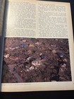1988 Raleigh NC Tornado Disaster Photo Book News & Observer Wake County Weather — photo 4