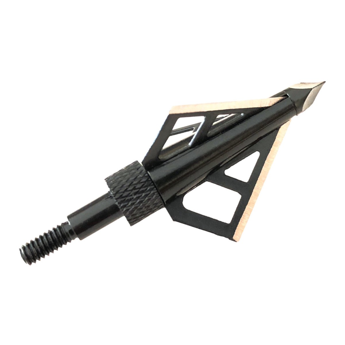HTGベーシック Black DX TypeA LTD™ End-Bound Explorer® Style Limited Edition™ Hardshell