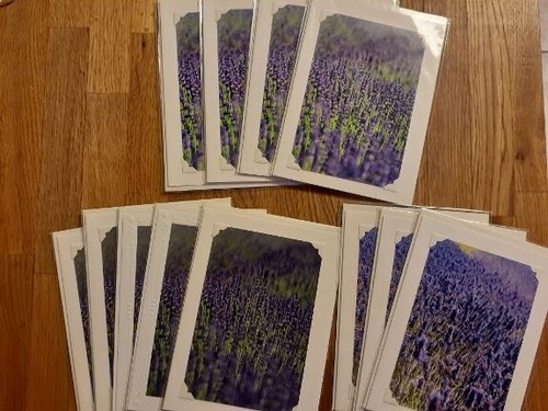 Set of 10 handmade 5x7 blank photo note cards & env's - Pacific Northwest themes - Picture 11 of 14