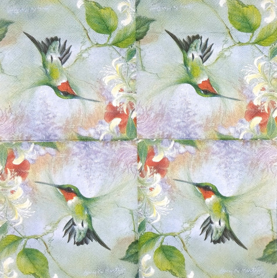 S218 3 x Single SMALL Paper Napkins Decoupage Tissue Green Hummingbird
