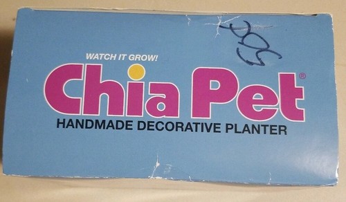 Clown Chia Kopf Handarbeit Deko Übertopf Chia Haustier offene Box Halloweeen Bio - Bild 5 von 6