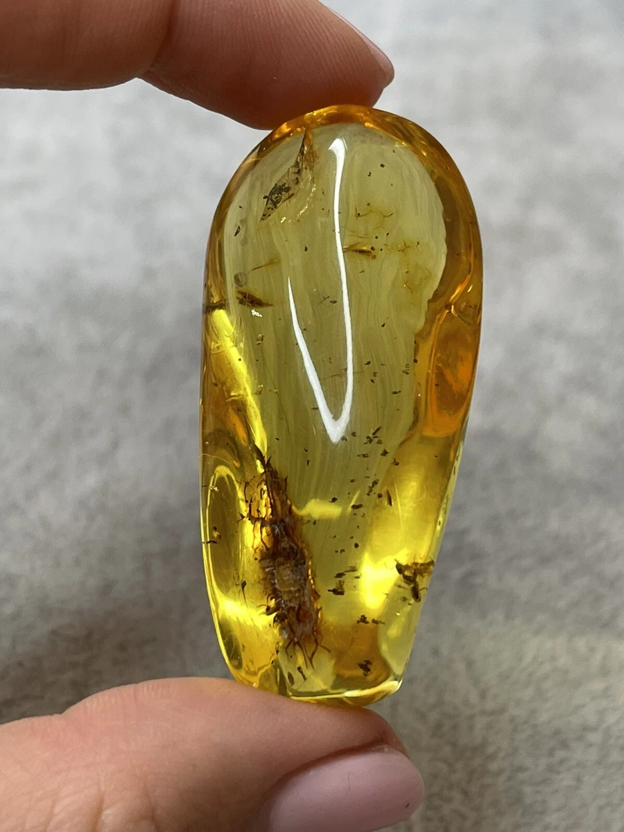 Natural Polished GENUINE BALTIC AMBER Stone with Inclusions 18.6g