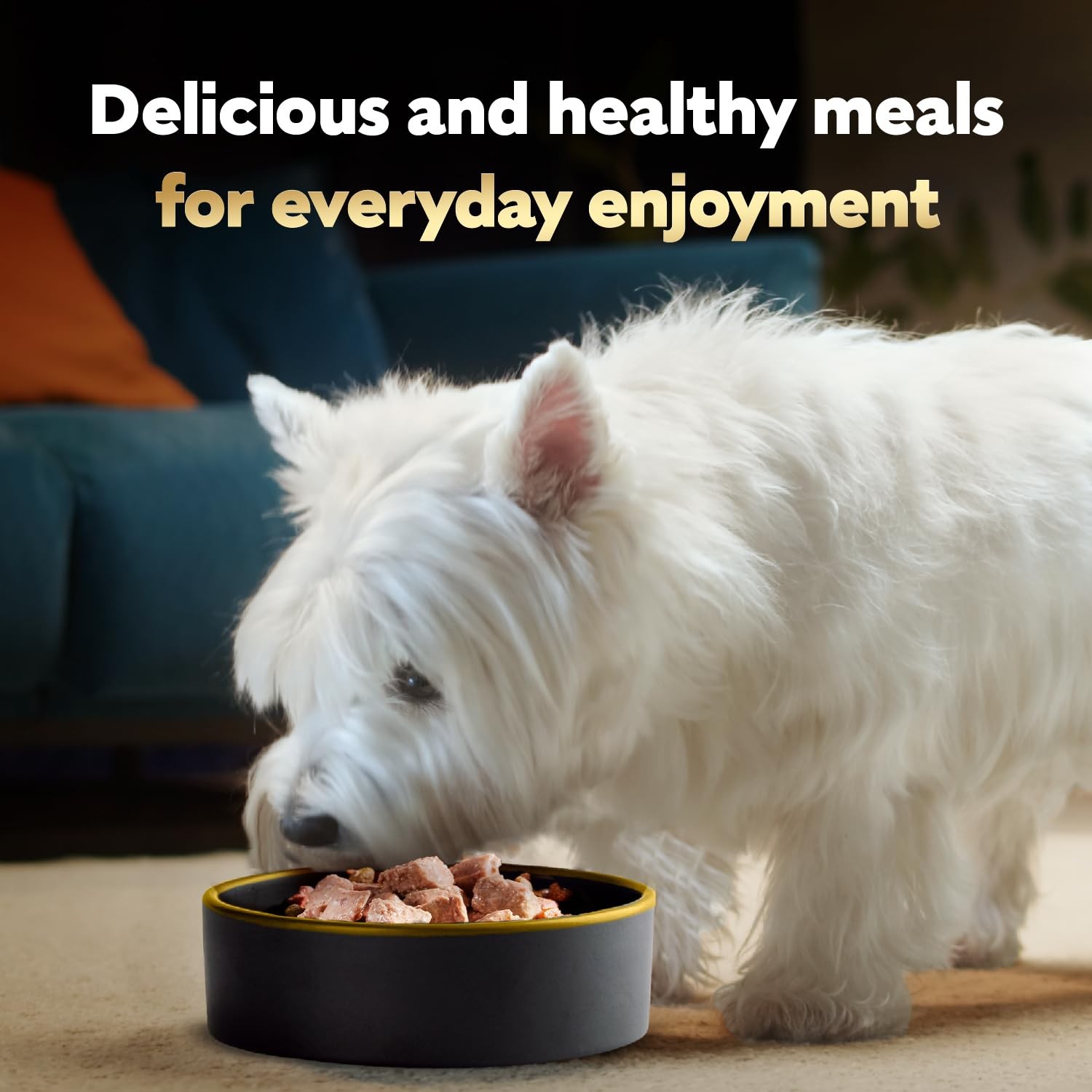 Cesar Wet Dog Food Steak and Chicken Lovers Variety Pack, Adult, Wet Food for...
