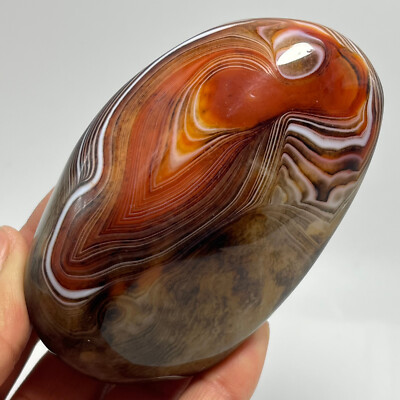 TOPG242 Natural Polished Silk Banded Lace Agate Crystal Madagascar