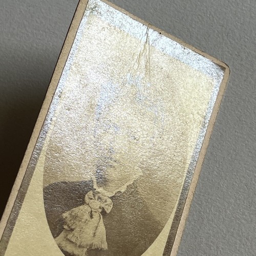 Antique CDV Photograph Beautiful Charming Young Woman Jamestown NY - Picture 5 of 9