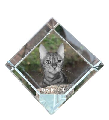 Toyger Katze - Kristallwürfel mit Katzenbild, Pferdebild im Kristall, sechseckig