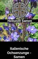 Italienische Ochsenzunge Anchusa azurea 10 Samen Hellsini®Samen
