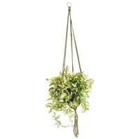 Wildwood Mk-42og 3 Leg Macrame Plant Holders, Olive Green, 42-inch , New, Free S on sale Wildwood Mk-42og 3 Leg Macrame Plant Holders, Olive Green, 42-inch , New, Free S on sale
