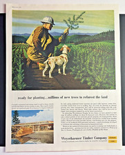 Weyerhaeuser Timber Paper Company Tree Farming 1958 Vintage Print Ad