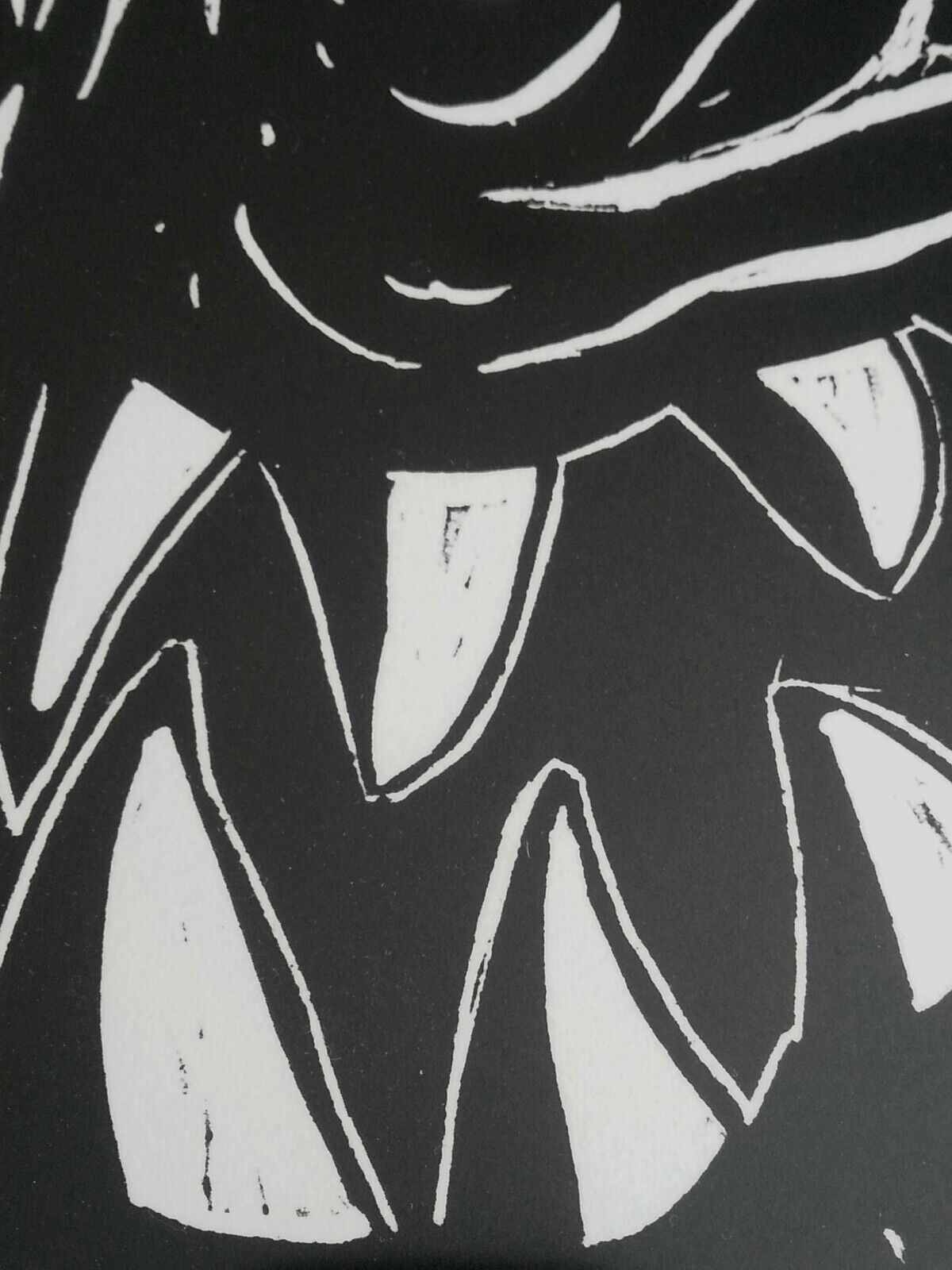 Picture 4 of 12