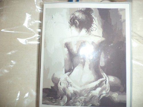 DIY Paint By Number  Kit Lady Bathing 20 x 16 Inches