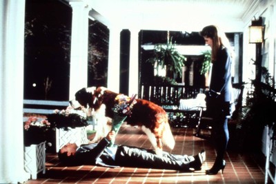 Mr. Destiny - James Belushi - Rene Russo - 1 Dia - 5x5cm gerahmt (6452)