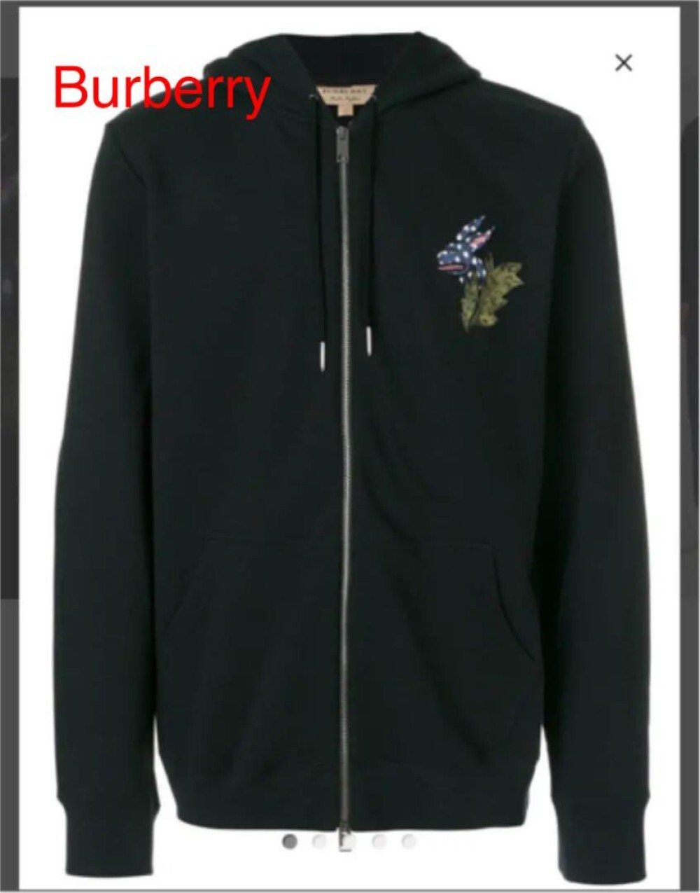 Burberry Hoodie Men's Fashion from Japan