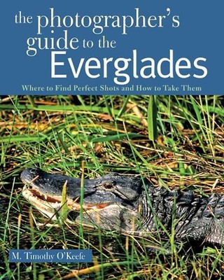 The Photographer's Guide to the Everglades: Where to Find Perfect Shots and How