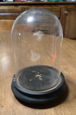 Glass Dome Cloche with Wooden Base Display Showcase...